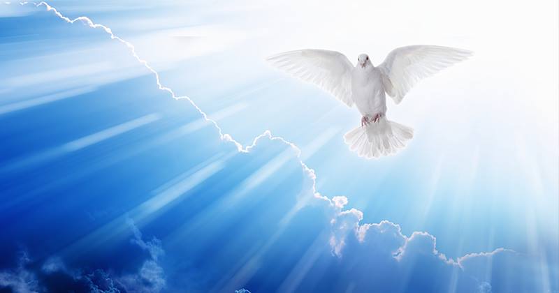 DonMcElyea.Com Holy Spirit Descending as a Dove