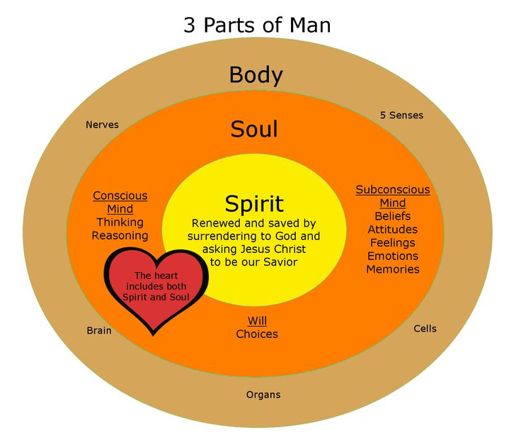 DonMcElyea.Com Dimensions of Man Assigned by God